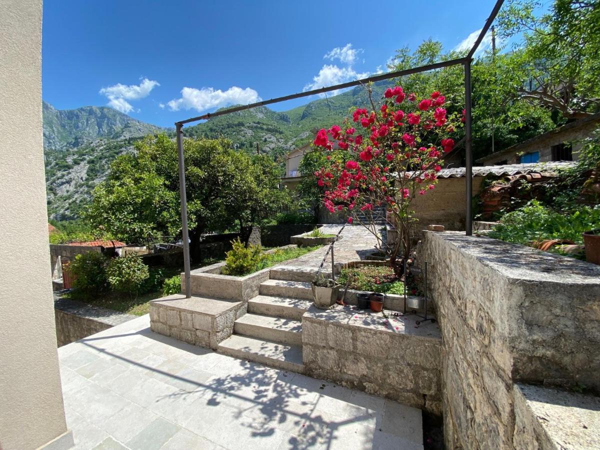 Apartments Mezini 11 Kotor Zewnętrze zdjęcie