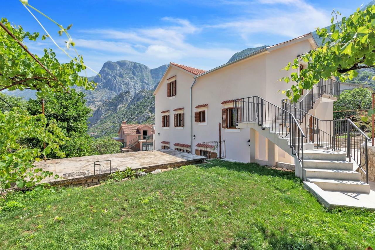 Apartments Mezini 11 Kotor Zewnętrze zdjęcie